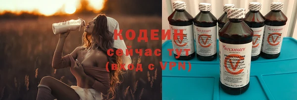 дурь Арсеньев