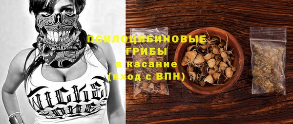 дурь Арсеньев